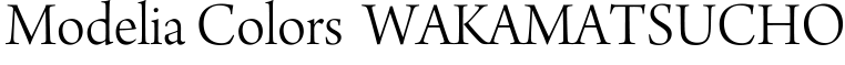 Modelia Days  WAKAMATSUCHO