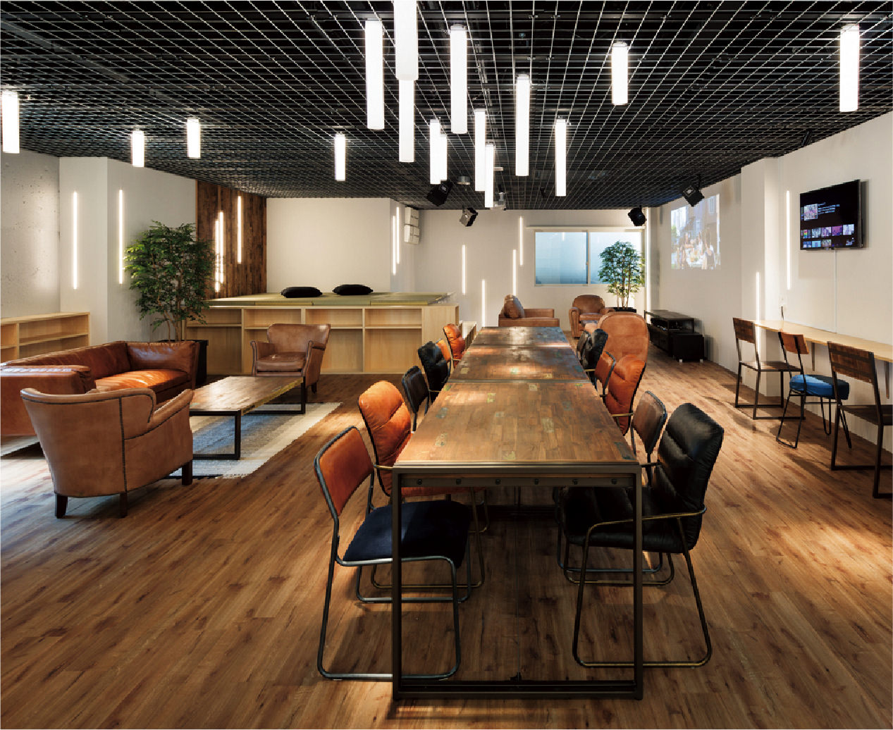 Modelia Colors WAKAMATSUCHO